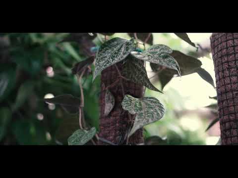 Website Resmi Informasi Desa Buduk