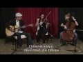 Working Poor (Horse Feathers) || Guitar, Violin, & Cello Cover by The Lights Flood