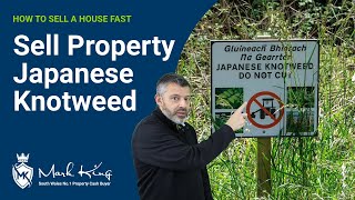 Selling a House That Has Japanese Knotweed | Mark King Properties South Wales