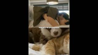 Download lagu literally so PhumPeem🤞#pondphuwin #pondnaravit #phuwintang #ppnaravit #phuwin #ปอนด์ภูวินทร์ #gmmtv mp3