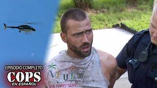 Thumbnail del capítulo