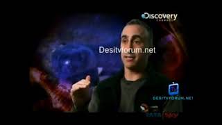 Download lagu Nature's Deadliest Juni 1 The Discovery Channel mp3 Download lagu Nature's Deadliest Juni 1 The Discovery Channel mp3