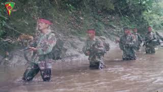 Download lagu HUT YONIF 731 KABARESI KE _ 71 mp3 Download lagu HUT YONIF 731 KABARESI KE _ 71 mp3