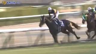 キタサンブラック引退試合有馬記念一体誰が勝つのか？