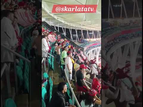 "#américadecali  #baronrojosur #arenafontenova. La Hinchada #americana #alentado" Barra: Baron Rojo Sur &bull; Club: América de Cáli