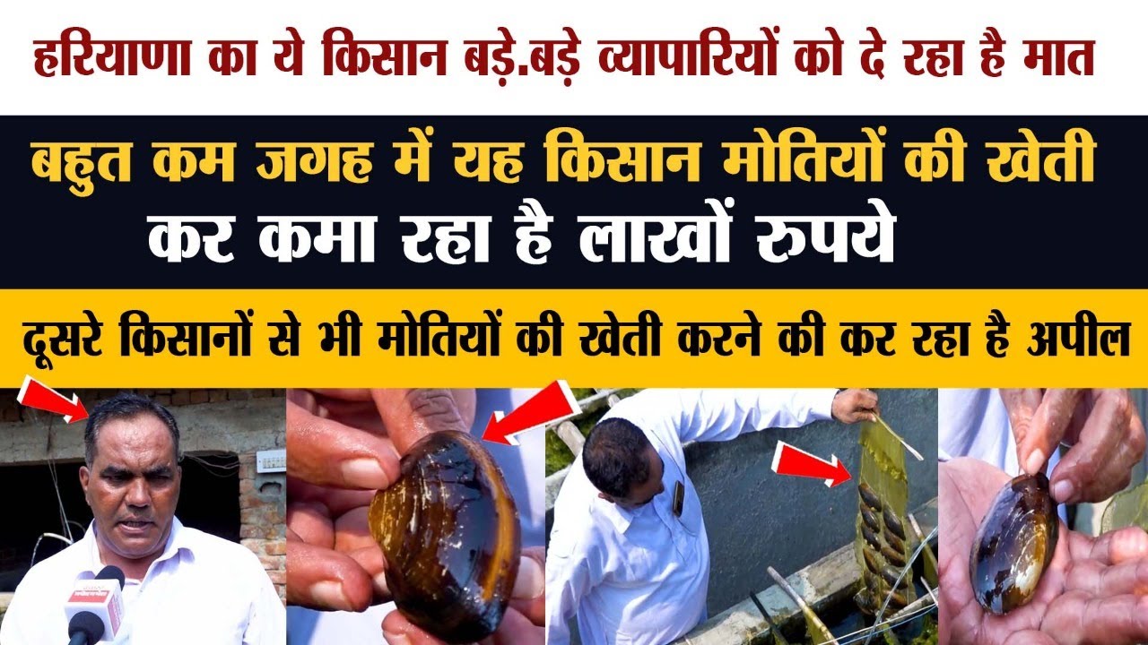 Haryana का ये kisan बड़े-बड़े व्यापारियों को दे रहा है मात 