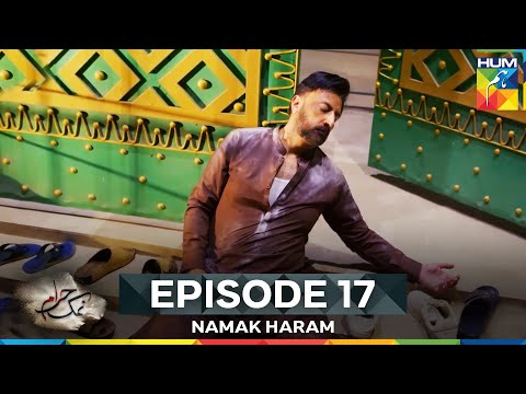 Namak Haram Episode 17