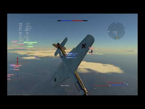 Do 335 A1 vs P51D30 dogfight / 1v1