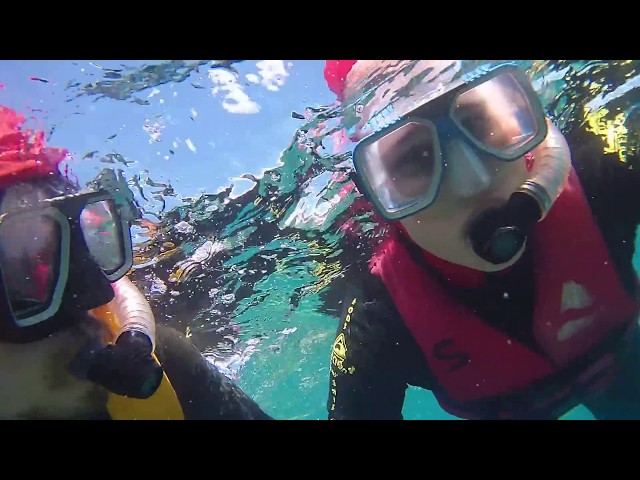 The Great Barrier Reef - Snorkeling in Queensland, Australia 2017