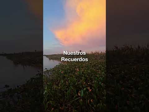Portal Laguna Blanca - Parque Nacional Río Pilcomayo - Nuevo #vlog Ya Disponible #argentina