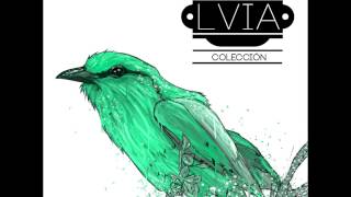 Lvia  credence xalapa veracruz