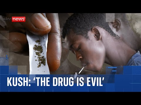Teens unable to walk, mothers with rash-covered babies: How Kush is ruining lives