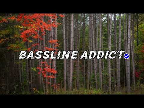 TRC Ft. Nadia - Used To Be│BasslineAddict