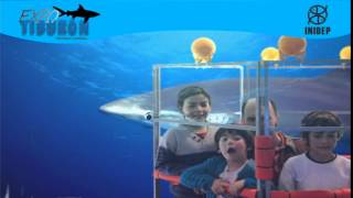 DIA 3 Expo Tiburon82