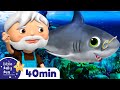 Baby Shark Dance More Nursery Rhymes Kids Songs Songs For Kids Learn With Little Baby Bum