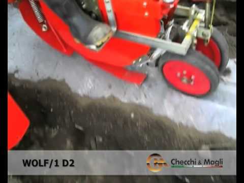 CHECCHI & MAGLI - TRANSPLANTER WOLF 1 ROW PLANTING PUMPKIN IN JAPAN