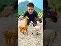Remote Control 1 Ta Giraffe And Horse Ke Unboxing 🥹