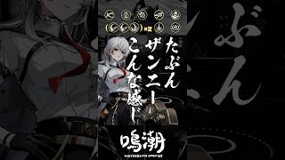 27秒で分かるザンニー