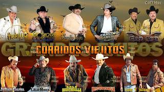 Puros Corridos Viejitos Mix 💥 Beto Quintanilla, El Tigrillo Palma, Luis Y Julián, Chalino Sánchez... MQDEFAULT Thumbnail