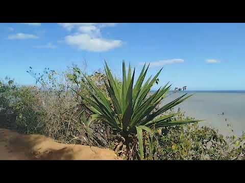 Trilha : Dando Volta Na Trilha Da Ilha Do Gambá • Piúma | Espírito Santo 