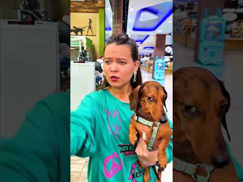Entered the Mall as a Puppy! Even the Alarm Was Shocked” 🐶🛍️😱✨