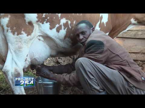 Project 254 - Mordenization of the New KCC factories Across the Country