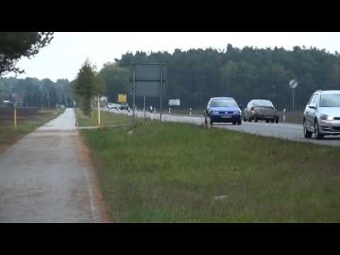 Baumfällarbeiten auf B96 - ELSTERWELLE