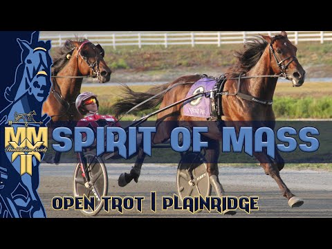 2022 Spirit of Mass - Alrajah One IT - Open Trot