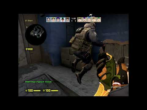 CSGO POV NIP REZ (28/21) vs Astralis (mirage) @ BLAST Premier World Final 2021