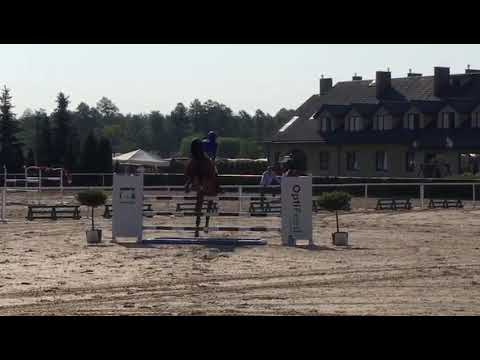 Coldwater (Carambole x Colandro) 2019/06/02 ZO Warka - RMK 120 cm I SPRZEDANY / SOLD