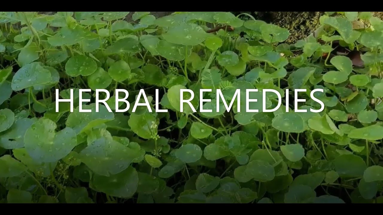 Herbal Remedies | Alternative Medicine at Home