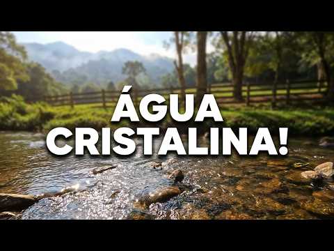 Encontrei um PARAÍSO ESCONDIDO para Acampar entre Presidente Lucena e Lindolfo Collor! pesca no rio