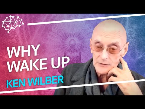 Why Wake Up - Ken Wilber