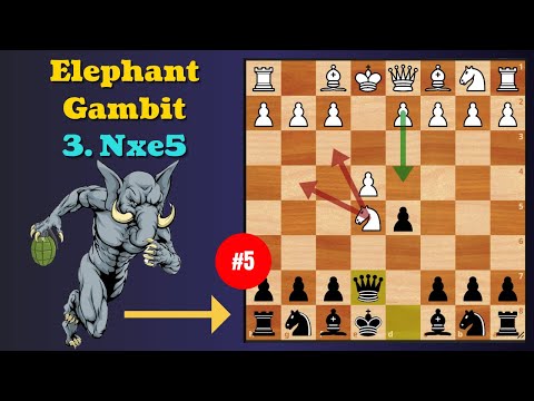 Tricky Elephant Gambit - 5 (4. Nxe5)
