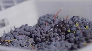 Ինդեքս 22.10.2021