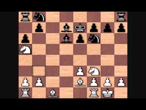 Magnus Carlsen vs Liviu Dieter Nisipeanu, 2011 Bazna King's Tournament