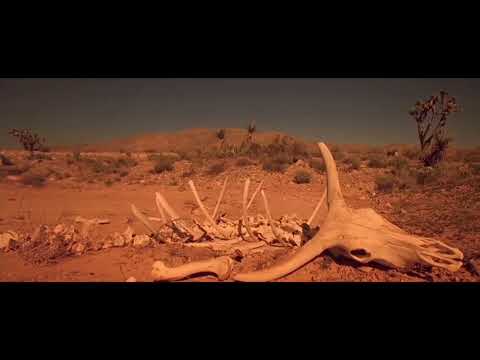 Paura e delirio a Las Vegas (1998) - Monologo finale