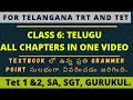 Class 6 TELUGU all lessons explanation for ts tet and trt || ts tet and trt online classes ||