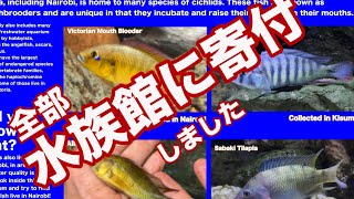 熱帯魚を現地で捕まえて飼育、その後国立博物館へ寄贈するストーリー