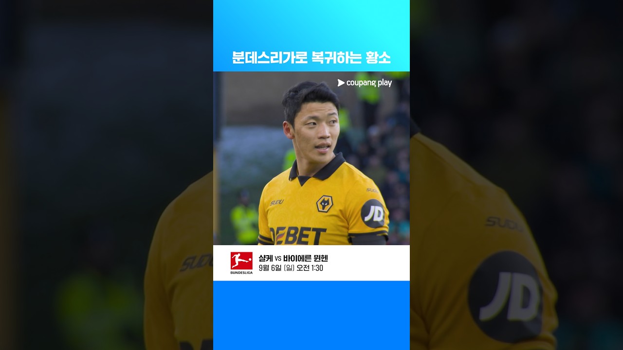 김민재가 누비는 분데스리가로 떠난 황희찬 | 황희찬 이슈 | 황희찬 25-26 공격 포인트 모음