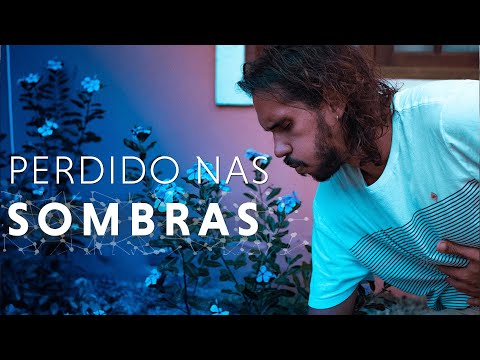 MINHA EXPERIÊNCIA COM AYAHUASCA - Medo, pânico e o maior desafio até hoje!