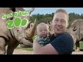 San Diego Zoo Family Travel In California Daily Vlog 10 Janna And Braden Family Vlog Road Trip
