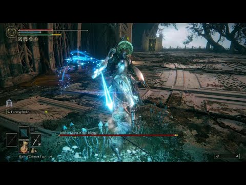 ELDEN RING lvl 60 Loretta, Knight of the Haligtree (Miquella's Haligtree) - no shield