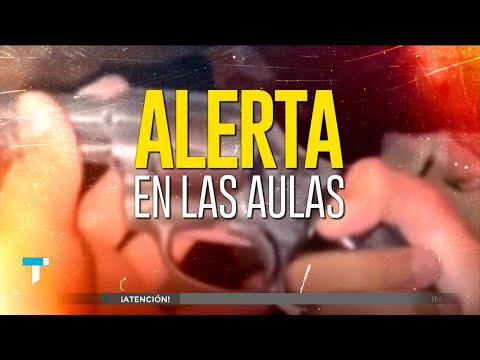 TIENE 12 AÑOS Y LE FRACTURARON EL CRÁNEO: Fue golpeado en el colegio y pelea por su vida