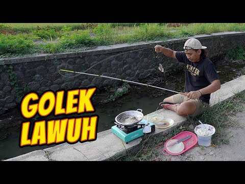 MANCING GOKIL ‼️ IKAN DI GORENG DI TEMPAT - KOMEDI JOWO [20]