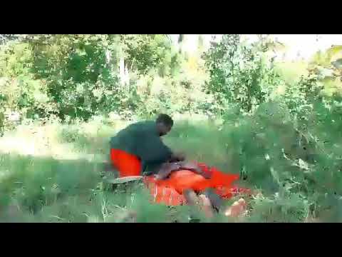 CHIFU coming soon Ringo