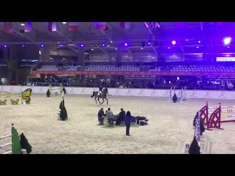 Cavalino & Susan Fitzpatrick 2* 1.45m Ranking Class Sentower Park Opglabbeek