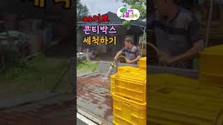 #Shorts 시원한 물줄기 ss기의 파워물줄기로 콘티박스 세척과 물놀이 일하다 잠시 쉬어 가는것도 일이다.