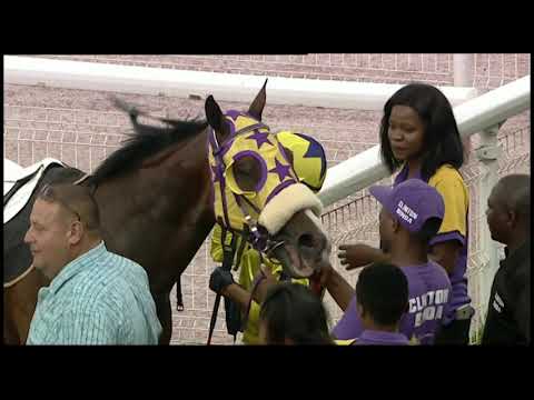 Blow Me Down   Maiden Win   Saturday 22 Feb 2020 o Turffontein Standside