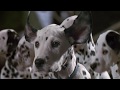 Disney Cinemagic Germany HIGHLIGHTS IM JUNI 2018 Promo